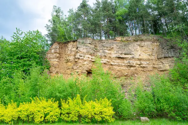 Mavi gökyüzüne karşı yemyeşil bitki örtüsüyle kaplı bir kireç taşı.