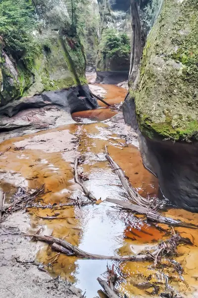 Çek Cumhuriyeti 'nin rock kasabası Adrspasske' deki nehir