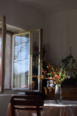 Çek Cumhuriyeti 'nin kırsal kesimi