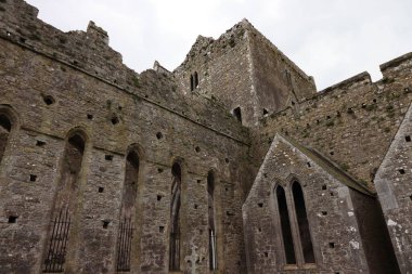 Tarlaların ortasındaki eski bir manastırın kalıntıları. yüksek kaliteli fotoğraf. Cashel Kayası (İngilizce: 