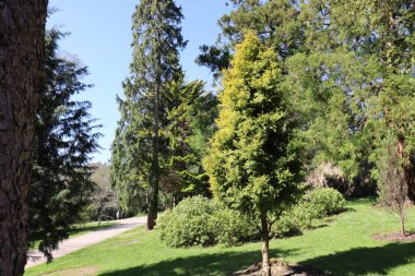 Powerscourt, Enniskerry, County Wicklow 'da Dublin' in güneyinde bulunan büyük bir arazi. 