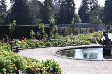 Güzel botanik fotoğrafı, doğal duvar kağıdı. Powerscourt, Enniskerry, County Wicklow 'da Dublin' in güneyinde bulunan büyük bir arazi. 