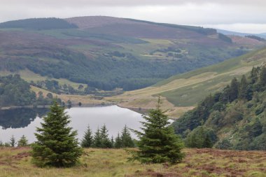 Wicklow Dağları, İrlanda 'nın güneydoğusunda yer alan ve genellikle 