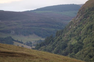 Wicklow Dağları, İrlanda 'nın güneydoğusunda yer alan ve genellikle 