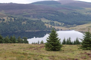 Wicklow Dağları, İrlanda 'nın güneydoğusunda yer alan ve genellikle 
