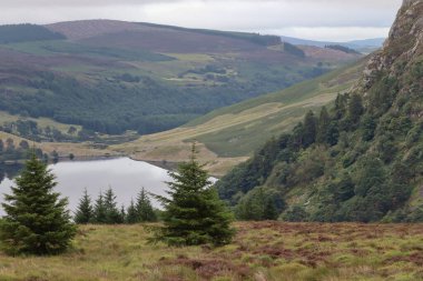 Wicklow Dağları, İrlanda 'nın güneydoğusunda yer alan ve genellikle 