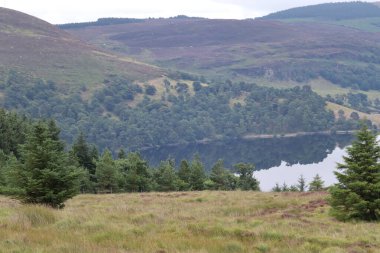 Wicklow Dağları, İrlanda 'nın güneydoğusunda yer alan ve genellikle 