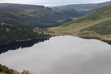Wicklow Dağları, İrlanda 'nın güneydoğusunda yer alan ve genellikle 