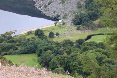 Wicklow Dağları, İrlanda 'nın güneydoğusunda yer alan ve genellikle 