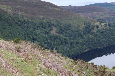 Wicklow Dağları, İrlanda 'nın güneydoğusunda yer alan ve genellikle 