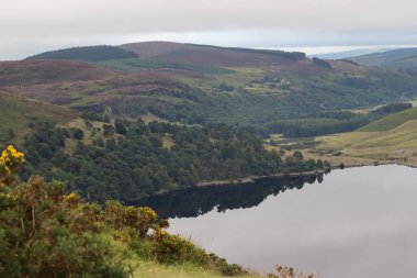 Wicklow Dağları, İrlanda 'nın güneydoğusunda yer alan ve genellikle 