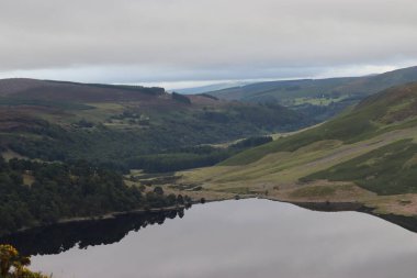 Wicklow Dağları, İrlanda 'nın güneydoğusunda yer alan ve genellikle 