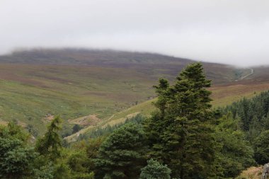 Wicklow Dağları, İrlanda 'nın güneydoğusunda yer alan ve genellikle 