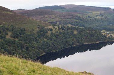 Wicklow Dağları, İrlanda 'nın güneydoğusunda yer alan ve genellikle 