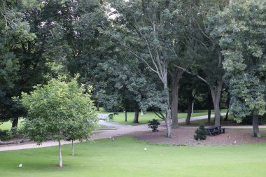 Merrion Meydanı, Dublin 'in güneyindeki en ikonik ve iyi korunmuş Gürcü meydanlarından biridir. 1762 'de serilen meydan, zarif kırmızı tuğlalı Gürcü evleri ve güzel Central Park' ı ile ünlüdür..