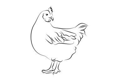 Siyah tavuk sanatsal logosu