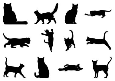 kedilerin siluetleri kümesi