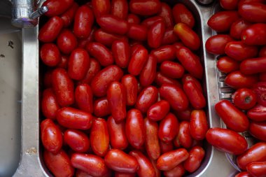 Metal lavaboda yıkanmış domatesler. İtalyan domatesi