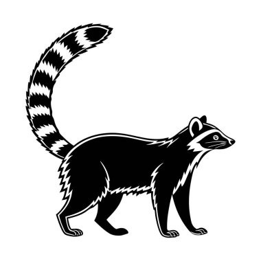 Profil görüntüsünde sağa doğru yürüyen bir rakunun siyah beyaz çizimi. Rakunun kendine özgü maskeli bir yüzü ve siyah beyaz çizgili uzun, gür bir kuyruğu var..