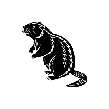 Arka ayaklarının üzerinde duran bir dağ sıçanının siyah beyaz çizimi. Hayvanın siyah siluetine karşı keskin beyaz çizgiler çizilmiş ayrıntılı kürk dokusu var..