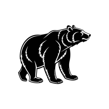 Profil görünümlü bir ayının siyah-beyaz bir grafik çizimi. Ayı başı sağa dönük olarak ayakta duruyor..