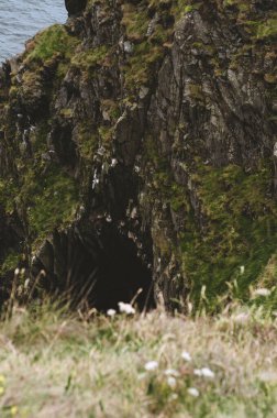 Karanlık mağarası olan kaya.