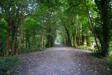 Mawddach Patikası, Eryri Ulusal Parkı 'nda (Snowdonia) eski raylar üzerine inşa edildi.