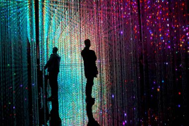 Aomi, Koto City, Tokyo 'da Sınır Tanımayan Takım Laboratuvarı 