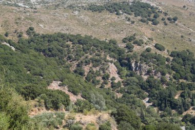 Bereketli yeşil Akdeniz ormanı parlak güneş ışığı altında engebeli bir yamacı kayalık araziyle kaplıyor..