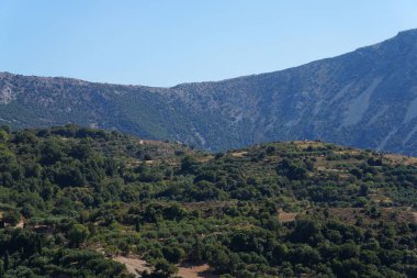 Açık mavi gökyüzünün altında Akdeniz bitkileriyle kaplı yeşil tepeler.