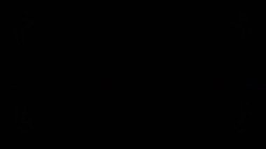 Soyut kaleydoskop arkaplanı. Güzel tasarım renk dokusu. Eşsiz kaleydoskop kaleydoskop şekilleri