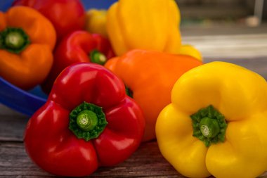 Taze kırmızı dolmalık biber, arka planda çeşitli sarı ve turuncu biberler bulanık. Yemek ve diyet için organik ve sağlıklı sebzeler.