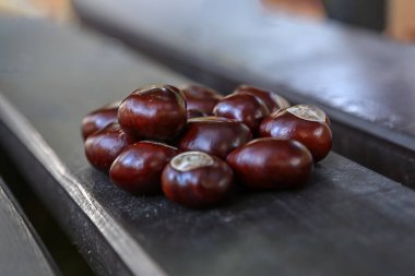 Tahta bir masaya dizilmiş kahverengi kestane yığını, güz ve doğal hasadı simgeliyor..