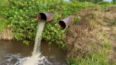 Pas lekeli eski bir demir boru çamurlu çeltik tarlasına tatlı su kanalları açar. Bu sulama sistemi, açık gökyüzünün altında geleneksel pirinç tarımında kullanılan pratik yöntemleri vurgular.