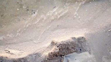 Hafif sahil dalgaları kıyıya vuruyor ve ıslak kumda hassas köpük izleri bırakıyor. Gelgitin yavaş akışı ve denizin dinlendirici sesleri rahatlatıcı bir sahil sahnesi yaratır.