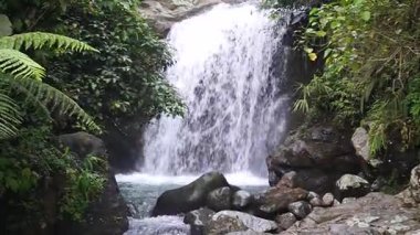 Büyüleyici doğal bir şelale engebeli kayaların üzerinden akar, yemyeşil ormanlarla çevrili, huzurlu ve ferahlatıcı bir manzara yaratır.