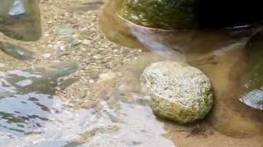 Şeffaf tatlı su, ince kum ve kahverengi tonlu taşlardan oluşan bir yatakta sakince dalgalanır. Doğal ışık sualtı sahnesinin berraklığını ve dokusunu arttırır.