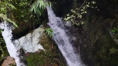 Manzaralı bir şelale, etrafını çevreleyen orman manzarasının sakin atmosferiyle harmanlanan taş katmanlarından akıyor.