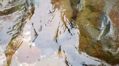 Huzurlu bir dere saf berraklığını gösteriyor, ince dalgalar kumlu zemini ve altındaki kahverengi kayaları ortaya çıkarıyor. Renk, doku ve hareketin kombinasyonu rahatlatıcı bir görsel yaratıyor.