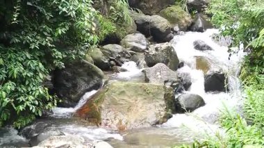 Ferahlatıcı bir şelale yosunlu kayaların üzerinden sessizce akan bir orman patikası. Temiz akıntı yumuşak güneş ışığında parıldıyor.