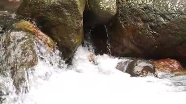 Güçlü bir şelalenin yol açtığı hızlı su hareketinin yakın görüntüsü yosunlu taşlara çarpıp dinamik sıçramalar yaratıyor. Sahne hareket ve doğal güçle canlıdır.