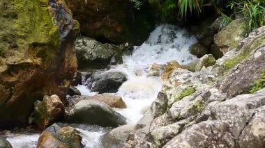 Küçük bir şelalenin tabanındaki dağılmış kayaların üzerinden yumuşak bir akıntı akar. Temiz su sakince damlıyor, yumuşak dalgalar yaratıyor ve yeşil bir ormanın ortasında huzurlu bir ortam yaratıyor.