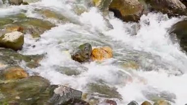 Tropik bir şelalenin tabanındaki engebeli kayaların arasından temiz ve soğuk bir dere akar. Sahne, yosunlu yüzeyleri kesen köpüklü suyla doğanın gücünü ve sükunetini yakalıyor.