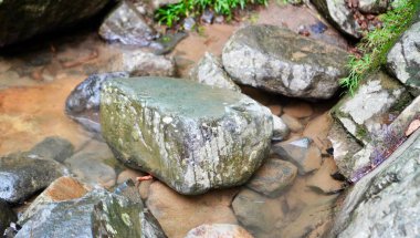 Bu yakın plan görüntü, yemyeşil ve toprak dokuların eşlik ettiği sığ bir nehir kıyısı boyunca yosun kaplı bir taş yakalıyor.