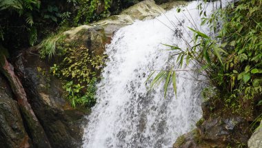Yumuşak ama güçlü bir şelale büyük kayaların üzerinden akar ve el değmemiş vahşi doğanın kalbinde yatıştırıcı sesler çıkarır. Güzel doğa.
