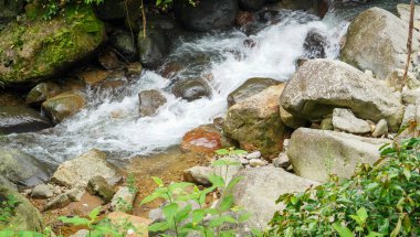 Temiz ve hızlı akan su, yeşil ormanın derinliklerindeki doğal bir şelaleden gelen büyük kayalar arasında güçlü bir şekilde hareket eder. Doğanın enerjisi huzurlu ortamı doldurur.