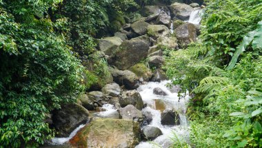 Ferahlatıcı bir şelale, yosunlu kayaların üzerinden sessizce akan bir orman patikası boyunca akar.