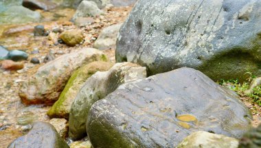 Büyük bir taş, akıntılı suyla sarılmış bir orman akıntısının kenarında sessizce durur. 