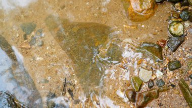 Nehir kumunun yakın görüntüsü berrak akan suyun detaylı yüzeyi ve nehir yatağı elementlerini ortaya çıkarır.