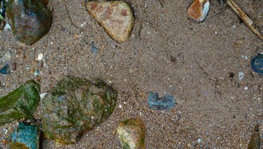 Küçük kayalarla dağılmış kahverengi kumların doğal arkaplanı engebeli ve topraksı bir doku yaratır.